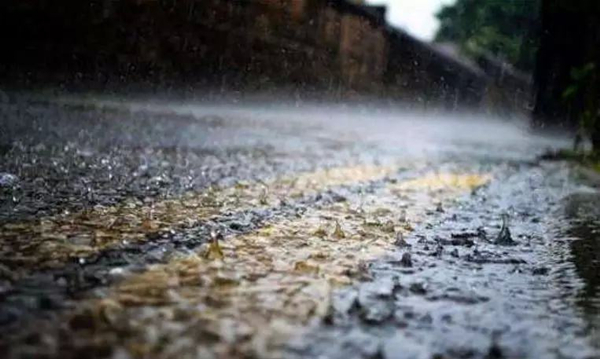 暴雨頻頻“上線”，家里墻面受潮發(fā)霉怎么辦？