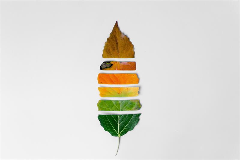 立秋│暑熱未消，秋意漸顯